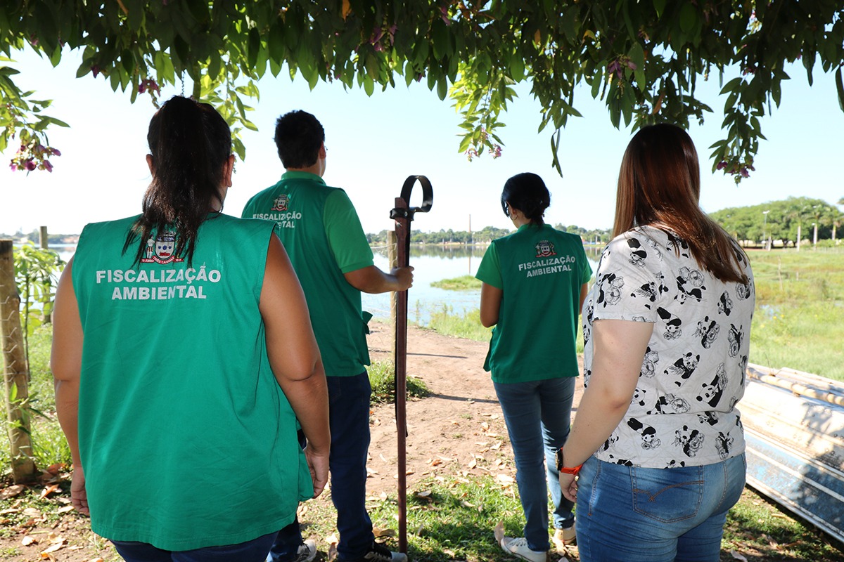 Meio Ambiente se programa para retirada dos jacarés da Lagoa Maior