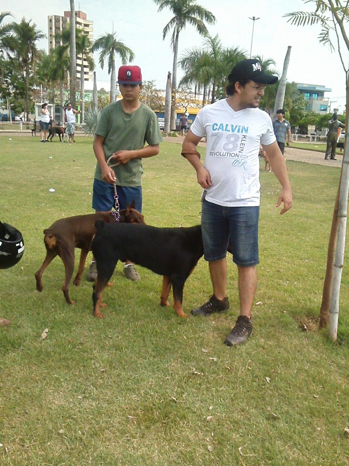 Fotos da 1ª Cãominhada da Três Lagoas FM 2015