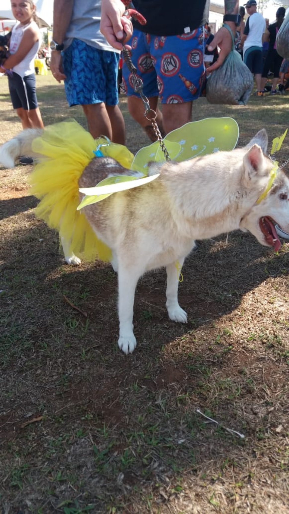 Alegria marca Cãominhada em Três Lagoas.