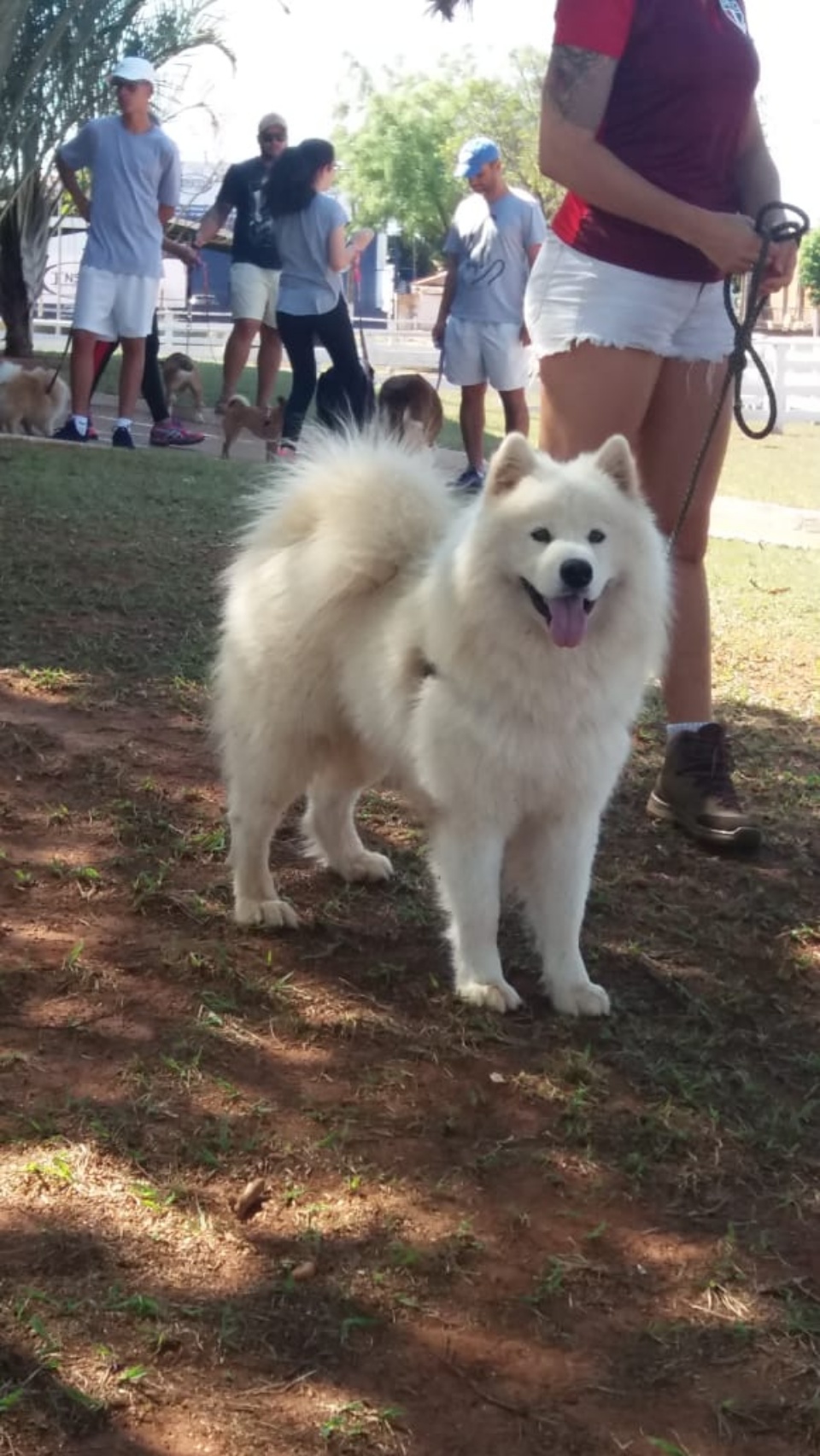 Alegria marca Cãominhada em Três Lagoas.