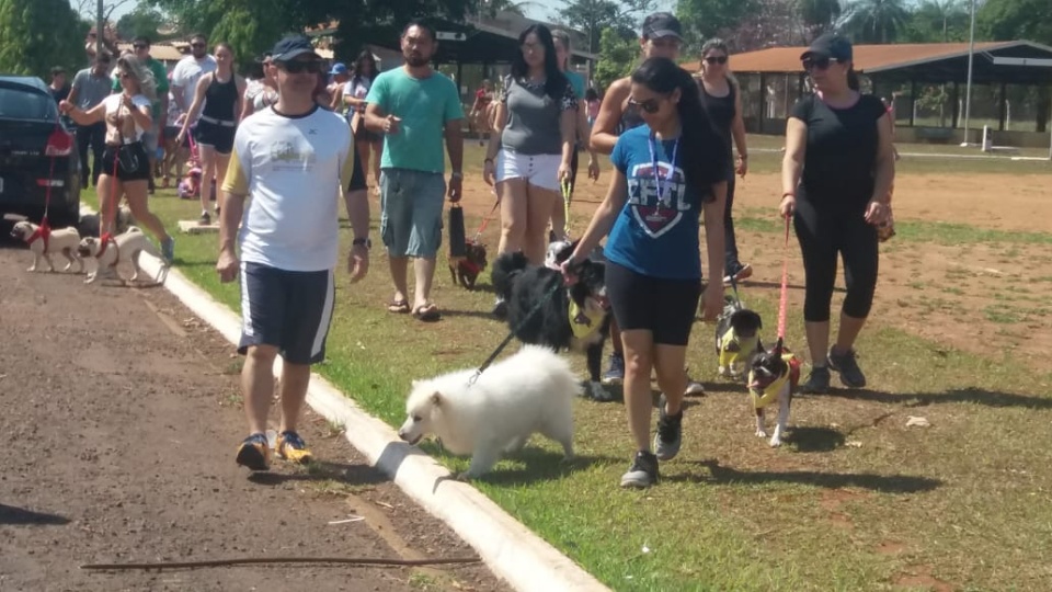 Alegria marca Cãominhada em Três Lagoas.