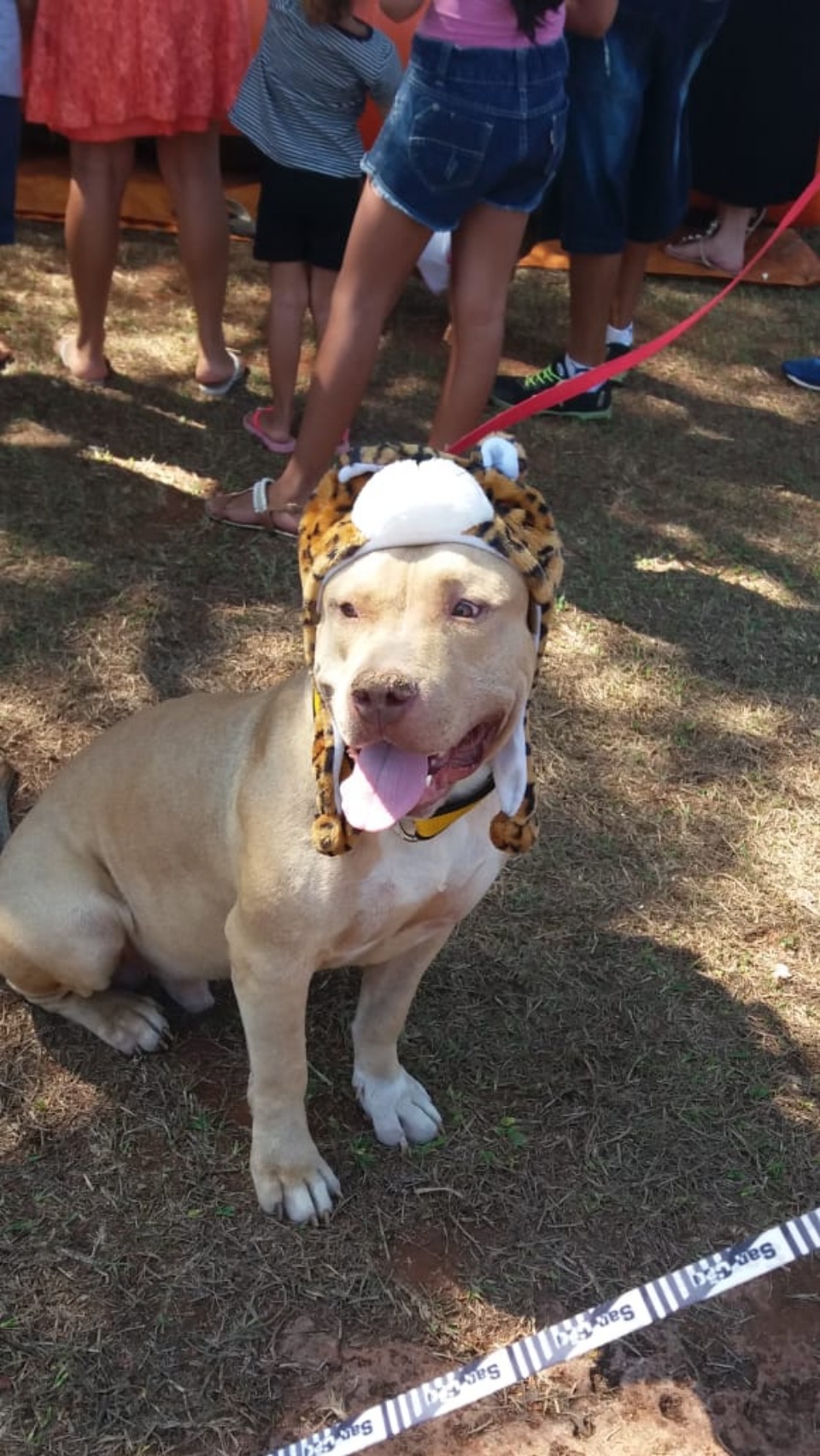 Alegria marca Cãominhada em Três Lagoas.