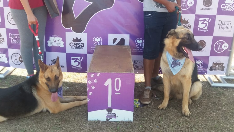 Alegria marca Cãominhada em Três Lagoas.