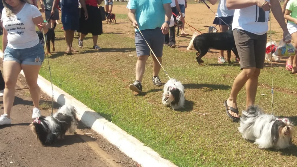 Alegria marca Cãominhada em Três Lagoas.