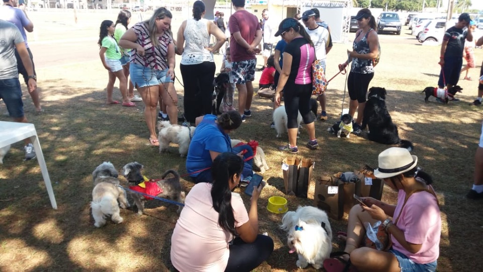 Alegria marca Cãominhada em Três Lagoas.