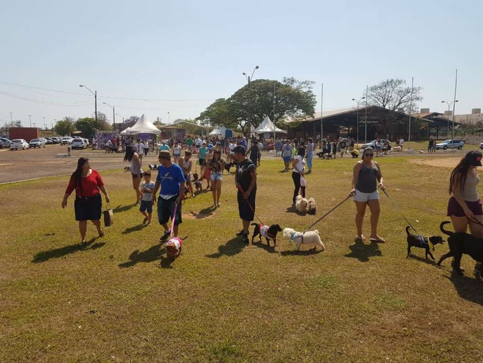 Alegria marca Cãominhada em Três Lagoas.