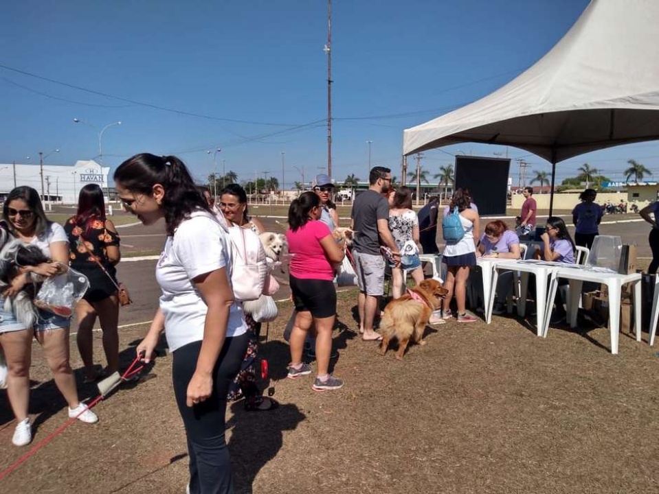 Alegria marca Cãominhada em Três Lagoas.