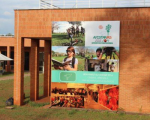 Evento de apreciação de pássaros pode ser realizado em Três Lagoas Evento de apreciação de pássaros pode ser realizado em Três Lagoas