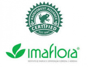 COMUNIDADE É CONVIDADA A OPINAR SOBRE MANEJO FLORESTAL COMUNIDADE É CONVIDADA A OPINAR SOBRE MANEJO FLORESTAL