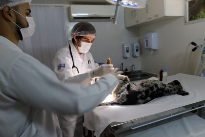 CASTRAMÓVEL – Serviço de castração de cães e gatos entra em recesso e retorna só em janeiro