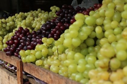 Feira Livre de Três Lagoas terá horário de funcionamento diferenciado nos dias que antecedem Natal e Ano Novo Feira Livre de Três Lagoas terá horário de funcionamento diferenciado nos dias que antecedem Natal e Ano Novo