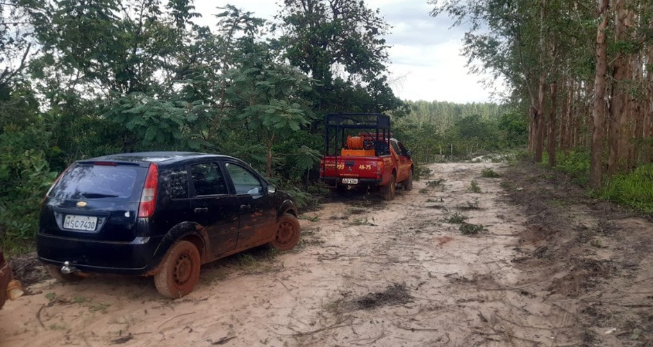Mãe e filha se perdem em mata após irem buscar guavira Mãe e filha se perdem em mata após irem buscar guavira