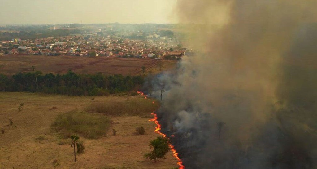 Queimadas no Pantanal alcançaram uma proporção devastadora Queimadas no Pantanal alcançaram uma proporção devastadora