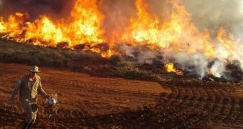 Foram autuados 72, número 157% maior do que 2019