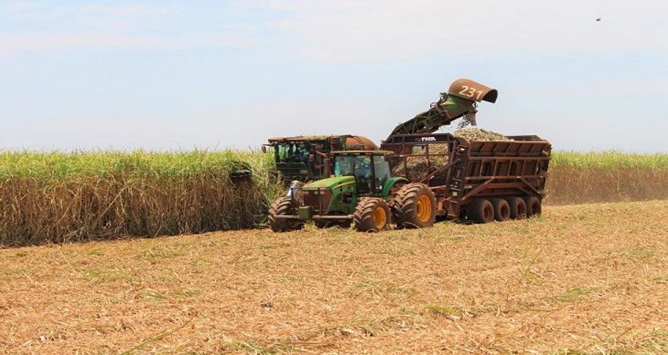 O número cresceu e chegou a 1.133 milhão de toneladas e com faturamento de US$ 303 milhões de dólares