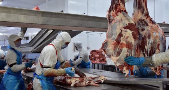 Mesmo em período pandêmico, MS alcançou resultado acumulado de US$ 3,79 bilhões