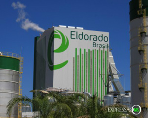 Eldorado Brasil é a principal empresa exportadora do MS